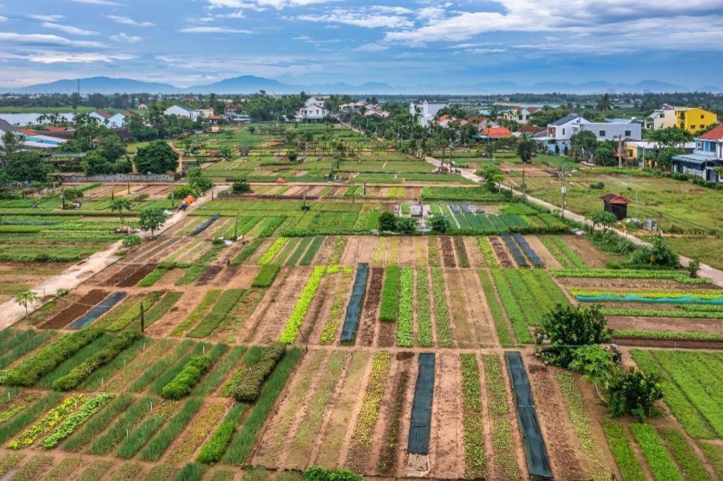 Hoi An Ht Villa And Hostel Eksteriør bilde